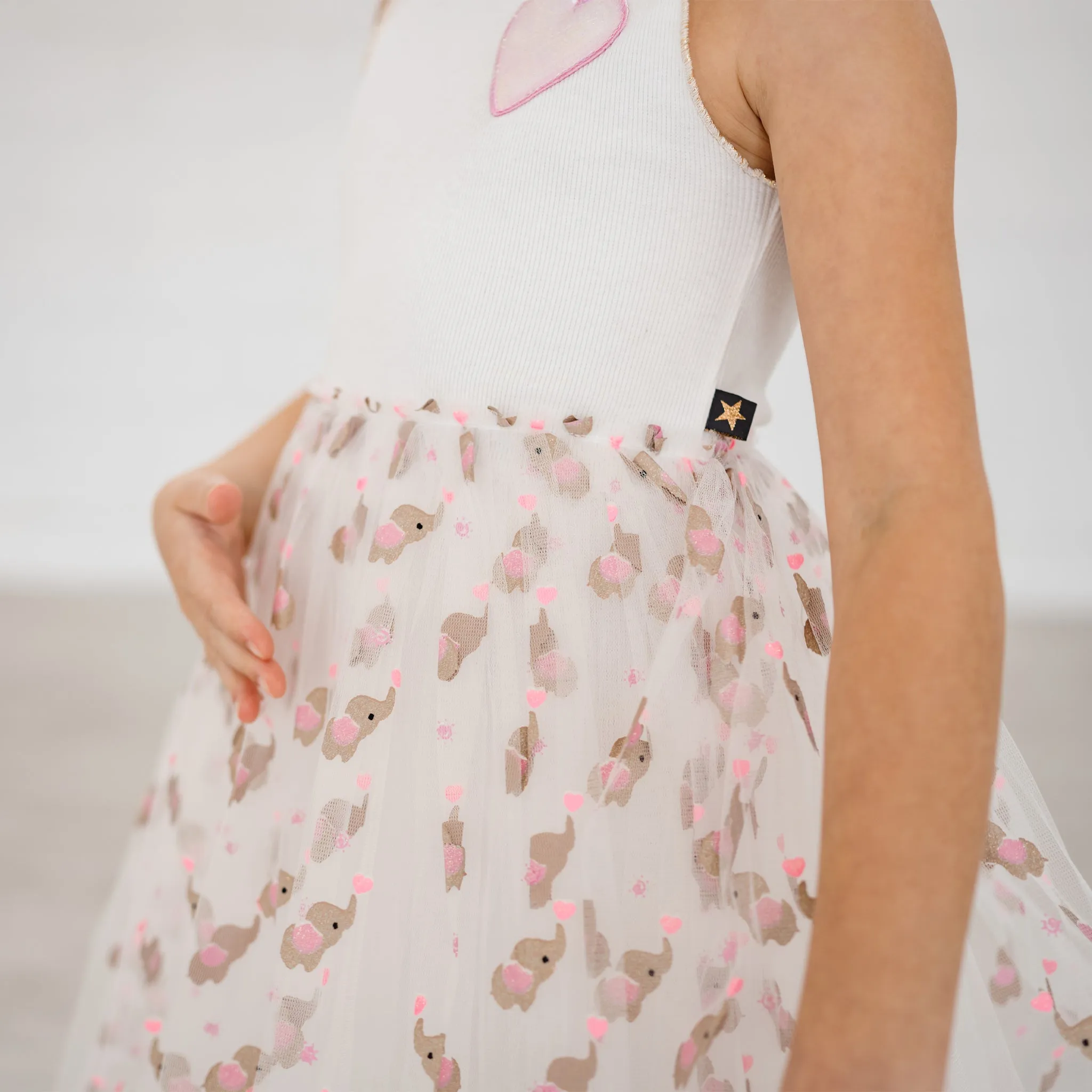 Eva Tutu Dress